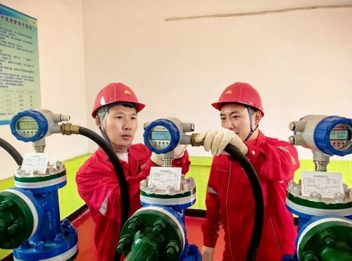 吉林油田松原采气厂深化物联网应用，赋能油气生产协调优化