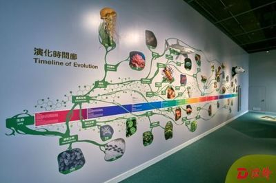 香港科学馆新推生物多样性展厅 开启奇妙自然探索之旅